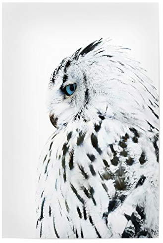 artboxONE Poster 30x20 cm Natur White Owl hochwertiger Design Kunstdruck - Bild owl Black and White Eule