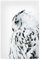 artboxONE Poster 30x20 cm Natur White Owl hochwertiger Design Kunstdruck - Bild owl Black and White Eule