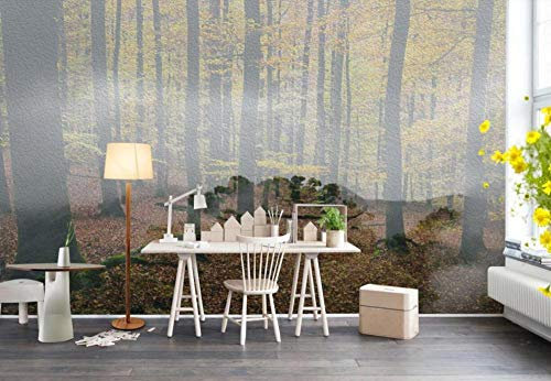 Papel Pintado Pared Paisaje De Otoño Bosque Bosque Mural Infantil Fotomurales 3D Papel Tapiz Decorativos 400x280cm