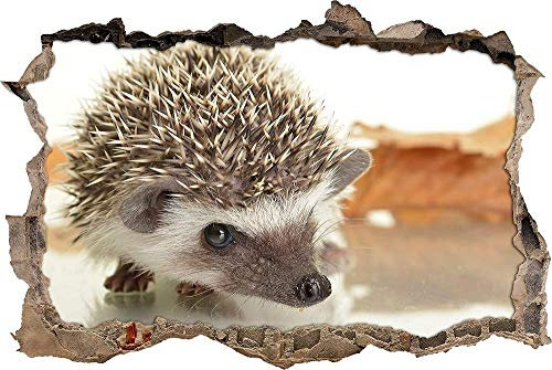 3D Wandtattoo Mauerloch Wandsticker Wandaufkleber Durchbruch selbstklebend Schlafzimmer Wohnzimmer Kinderzimmer - kleiner Igel,Größe 80x120cm