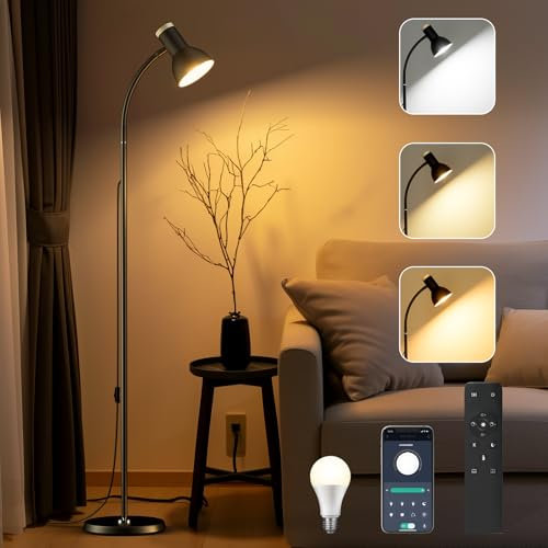 Lampade da Terra LED, Lettura Piantana Dimmerabile, Lampada con Telecomando, Colore 2700k-6500k, 12W Lampada Girevole Retrò per Soggiorno, Nero