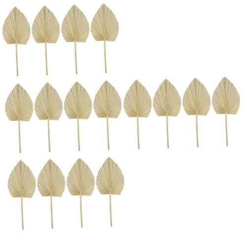 Alipis 16stücke Getrocknete Palmblätter Dekorationen Natürliche Wandkunst Für Hochzeiten Partys Und Wohnräume Ästhetische Wanddekoration Für Einen Tropischen Look