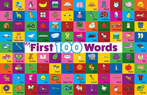Palace Learning Laminiertes Poster My 100 First Words, 45,7 x 61 cm
