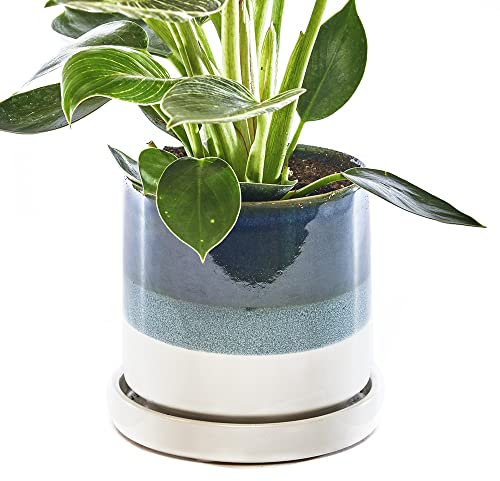CHIVE Pots de fleurs en c�ramique � Minute � � Pots d'int�rieur pour cactus et fleurs de 12,7 cm avec drainage et soucoupe amovible � Vert bleu