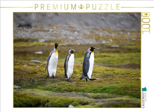 Puzzle · Königspinguinpärchen mit Jungem | Ein Motiv aus dem Kalender Südgeorgien · 1000 Teile · Lege-Größe 64 × 48 cm · CALVENDO Puzzle