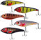 ELBFANG Jerkbait Set - Jerkbait Hecht Köder - Jerk Wobbler - Inklusive Kunstköder-Box (5 Stück/Box / 90mm / 21g)