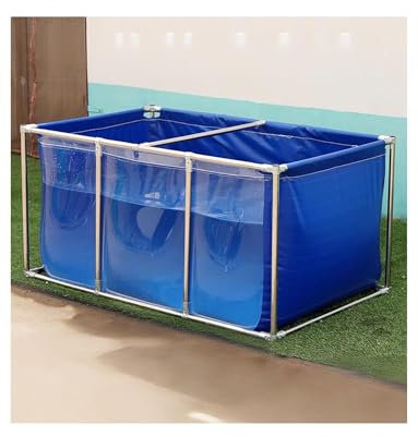 Grande piscine hors-sol transparente pour l'élevage et la natation