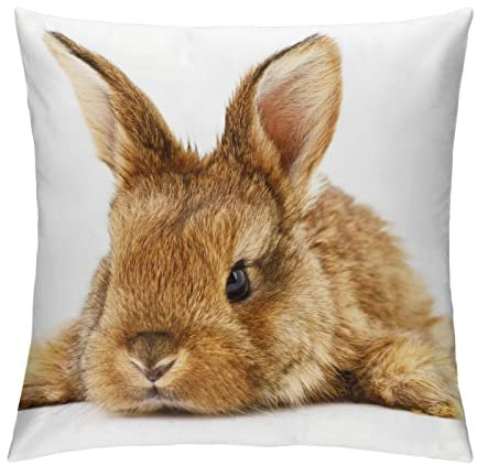 Kissenbezug Braunes Kaninchen Kissenhülle Superweicher Kopfkissenbezug Drucken Dekorativer Kopfkissen 40x40cm