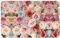 POCUK Tapis de sol antidérapant en flanelle de couleur pâle, mélange de roses, 50,8 x 80 cm, tapis de porte avant et arrière, tapis de douche de salle de bain
