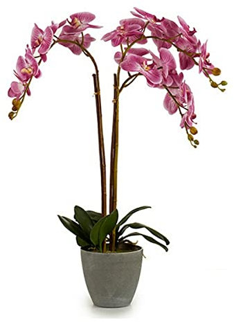 Ibergarden S3603056 Maceta, Gris, 44 x 88 x 60 cm