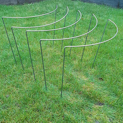 Plant Support traditional Curve type. Stakes, 6mm Mild Steel, Made in UK (Large 62cm Tall). As seen on TV and gardening magazines. Used by professional gardeners.