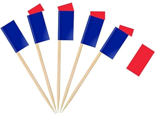 AhfuLife 100 Stück Frankreich Zahnstocher Flaggen, Französische Deko Fahne Klein Mini Zahnstocher für 2025 Damen Fußball EM Eurovision WM Olympische Cupcake Topper Toothpick Cocktail Party Pub Deko