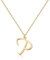 Halskette mit Initial in 18 Karat Gold P - Personalisierter Buchstaben-Schmuck für Frauen, handgefertigter Edelstahlanhänger, Geschenk für Geburtstag, Weihnachten, Abschluss, Valentinstag, Muttertag