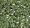 20kg Buntsteinputz Mosaikputz 1-2mm SOP30 Moosgrün/Weiß/Schwarz Wandputz - Hergestellt in Bayern -