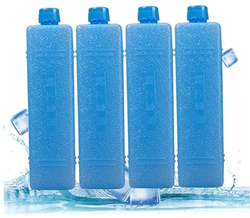Ice Packs Long Lasting Freezer Blocks 4Pcs Universal Ice Box Reusable Portable Cooler Freezer Ice Packs Keep Cool for Refrigerator Air Conditioner Fan Random Color