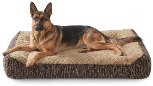 JOEJOY Orthopädisches Hundebett Grosse Hunde, Ergonomisches Hundebett Waschbar Abnehmbar, Hundesofa rutschfest mit Erhöhtem Rand, Hundekorb Weiches Schneeflocken-Fleece, 122x89x25cm