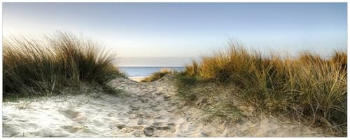 Wallario Memoboard aus Glas mit Motiv, Magnet-Tafel in 32 x 80 cm in Premium Qualität Weg durch die Dünen zum Strand am Meer
