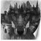 Feeby Papier Peint Intisse Abstrait Loup 250x250 cm gris Moderne Panoramique XXL Photo Mural Muraux Chambre Bureau Salle Lac Forêt Nature