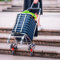 Carrello per la spesa a 8 ruote per salire le scale, pieghevole, grande, con ruote anteriori girevoli, borsa impermeabile rimovibile, telaio in lega di alluminio, doppia maniglia