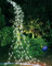 Joysing Solar Lichterkette Aussen 1M 100 LED Lichterschweif, 8 Modi Wasserfall Lichterbündel Wasserdichte Lichterstrang für Gießkanne Pflanzen Terrasse Balkon Garten Deko - Kaltweiß