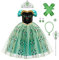 Mädchen Anna Kostüm Kleid mit Zubehör Kinder Baby Halloween Cosplay Eiskönigin Krönung Grün Maxikleid Prinzessin Königin Krönungskleid Karneval Fasching Verkleidung Weihnachten Festkleid 2-3 Jahre