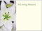 Large Funeral & in Loving Memory Floristry Message Cards Flowers and Floral Tributes (in Loving Memory White)