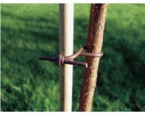 Gardening goods Flexi-Tie 3.5mm (medium)