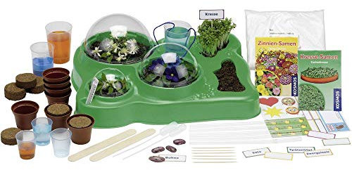 Kosmos 634919 - Mein erstes Gewächshaus, Das Original, Erstes Gärtnern für Kinder ab 5 Jahre, Komplett-Set mit Samen, Erde usw. Experimentierkasten zu Garten, Pflanzen, Blumen, Biologie