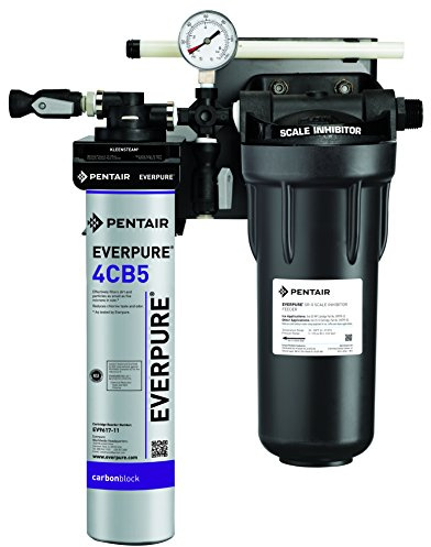 Everpure EV979750 Modello Ct Kleensteam