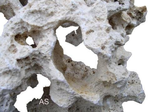 SAHAWA Lochgestein :Asiatisches weißes Premium Lochgestein M