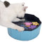 Kitty Piscine bon marché en plastique pour chat jouet pour économiser de l'espace Design pliable