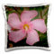 3dRose Rosa Oleander-Pink, Blume, Baum, Oleander, Blüte, Tropische Pflanzen, Knospen-Kissenbezug, 40,6 x 40,6 cm (pc_46874_1)