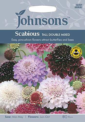 Johnson's 19477 Flower Seeds, SCABIOUS Tall Double Mixed