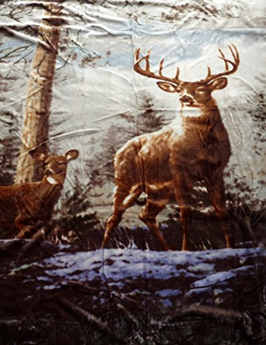 Natur-Fell-Shop XXL Kuscheldecke Tagesdecke Wendedecke Motiv Hirsch/Rotwild 200x240cm WD113