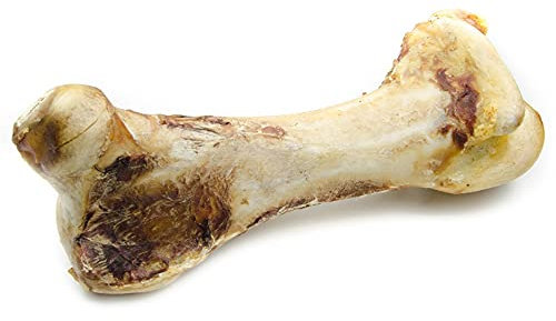 UML Kauartikel STRAUßENKNOCHEN XXL ca. 30cm splittert Nicht, 3,9% Fett für Hunde