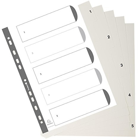 Exacompta Register A4 5-teilig, Karton,