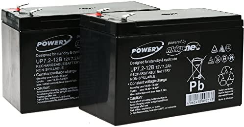 Batterie gel net plomb Batterie pour onduleur APC Smart-UPS SC 1000–2U Rack/Tower, plomb-acide 12 V