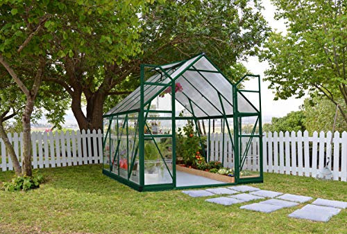 Palram Balance Gewächshaus, Grün