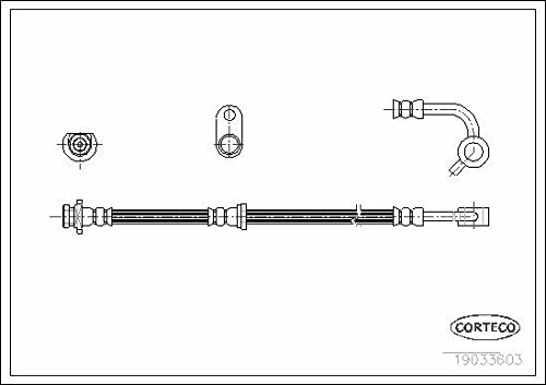 Corteco 19033603 Bremsschlauch hinten