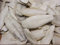 Lasama Sepia-Schalen Bruch 100 g