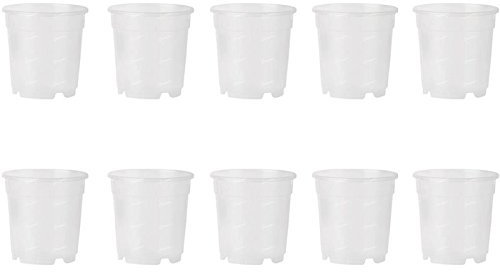 Lot de 10 pots transparents pour orchidées, diamètre 17 cm