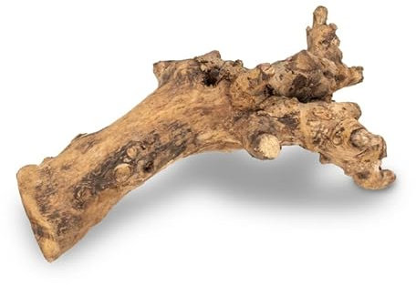 NaDeco Kuwa Deko-Wurzel, in den Größen 25-30 cm und 40-50 cm wählbar | Deko-Wurzel für Terrarien | Holzdeko | Deko-Holz | Terrarium-Dekoration | Deko-Wurzelholz | Echte Wurzel