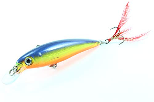 Rapala X-Rap 8 cm 10 cm Wobbler Kunstköder Lure Hecht Zander Farbe HS - Hot Steel, Größe 10 cm
