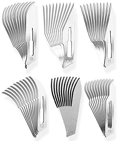 May Set 60 Sterile Einweg Skalpellklingen – Probierset Fig. 10-15 aus Karbonstahl – Präzisions-Klingen für Basteln, Modellbau, Fußpflege, Dermaplaning – Passend für Griff Nr. 3