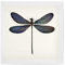 artboxONE Poster 20x20 cm Natur Vestalis luctuosa hochwertiger Design Kunstdruck - Bild Libelle entomologie Garten