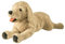 Gustaw Teddybär Groß XXL Golden Retriever Hund Beige - Plüschbär, Kuschelbär XXL Plüschtier, Spielgefährte und Deko in einem - Stofftier, Plüschtier Kuscheltier Teddy Bear. (75cm)