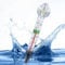 Schwimmendes Aquarium Thermometer mit Saugnapf, Präziser Wassertemperaturmesser für Fischbecken und Terrarien, Leicht ablesbare Skala