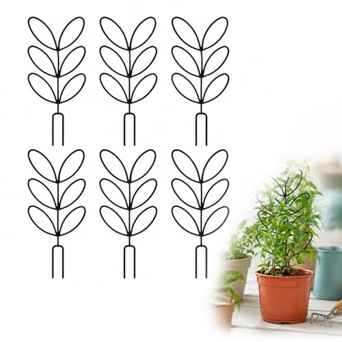 Set di 6 supporti per piante rampicanti, tutor per piante da interno con design elegante per Monstera, Philodendron, Hoya e Plus, accessori da giardino durevoli con rivestimento resistente agli agenti