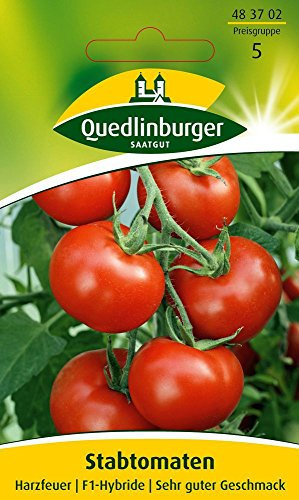 Quedlinburger