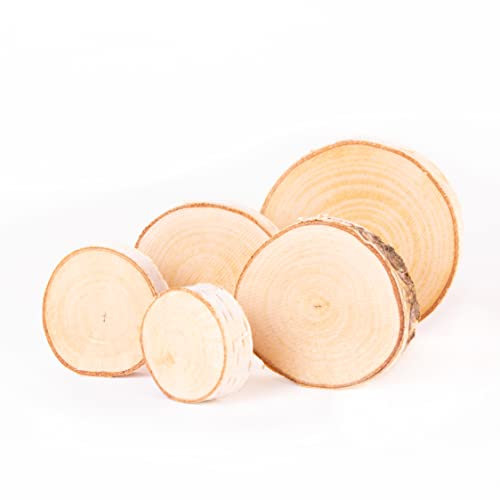 Holzscheiben rund Ø 3-8cm Baumscheiben aus Birkenholz Naturholz unbehandelt mit Rinde, Holzscheiben zum Basteln (5 Stk.)